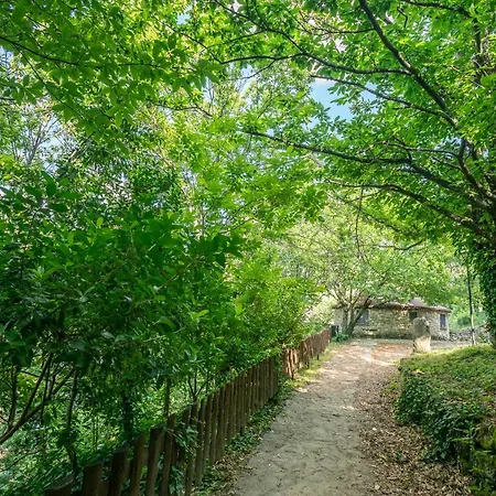 Chozos Rurales El Solitario 컨트리하우스 바뇨스 데 몬테마요르